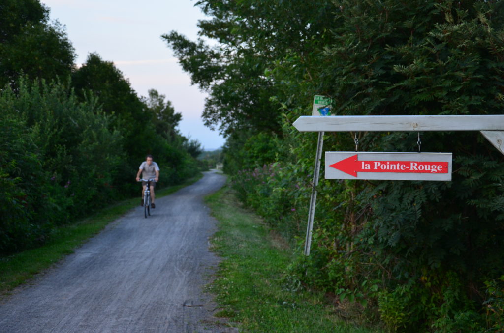 La chaussée de la Route verte retravaillée à SaintRochdesAulnaies Le Placoteux
