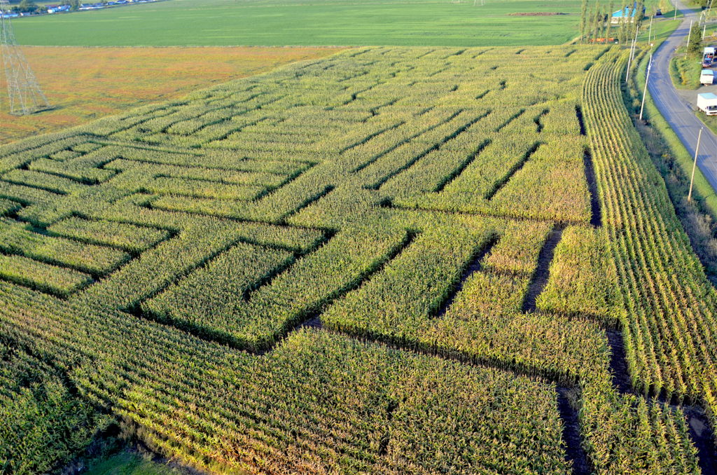 Le Grand labyrinthe de SainteAnne parmi les 15 nouveautés pleinair de