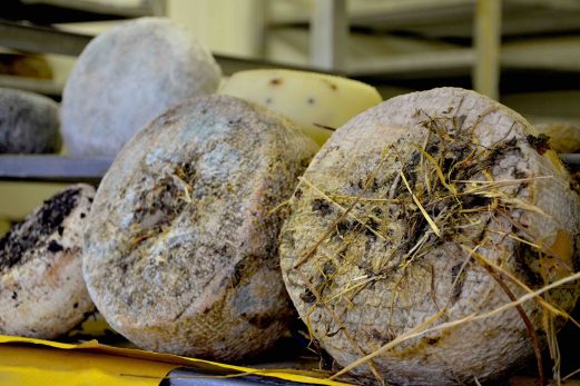 Toscane : Découvrir le Val d’Orcia en dégustant du Pecorino